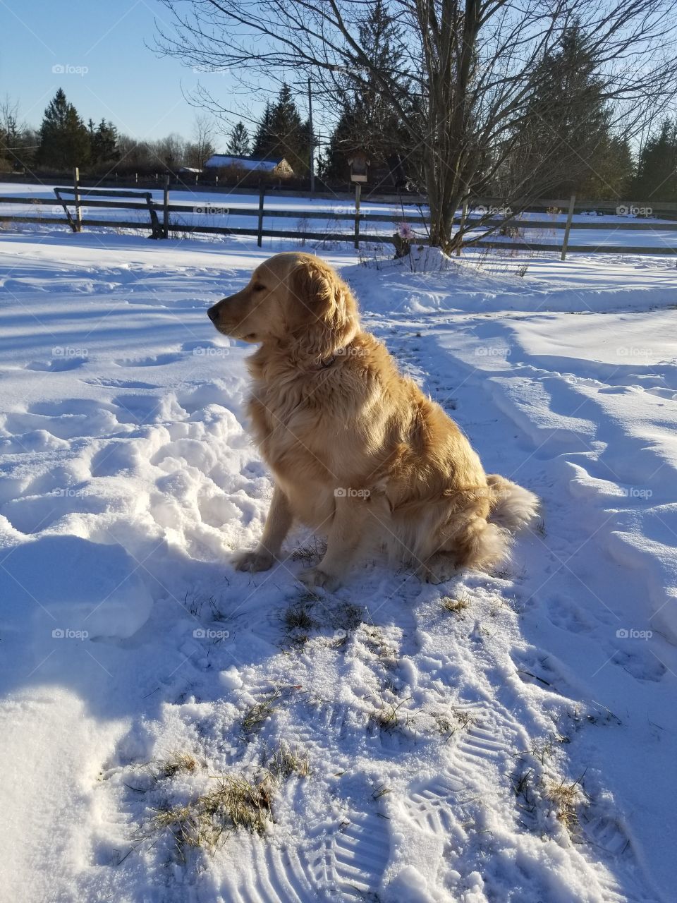 Snow, Winter, Cold, Outdoors, No Person