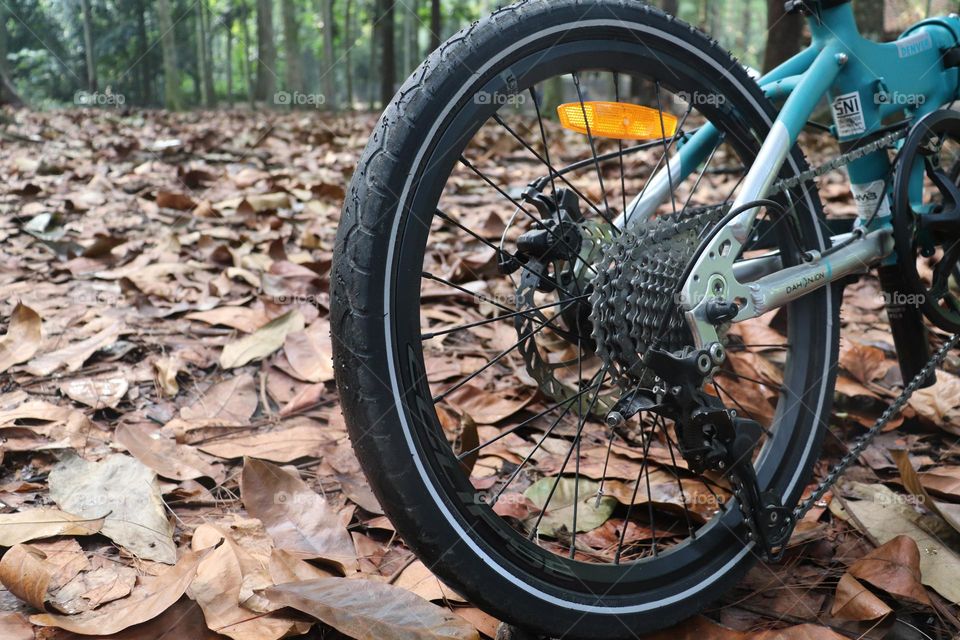 bicycle in the forest