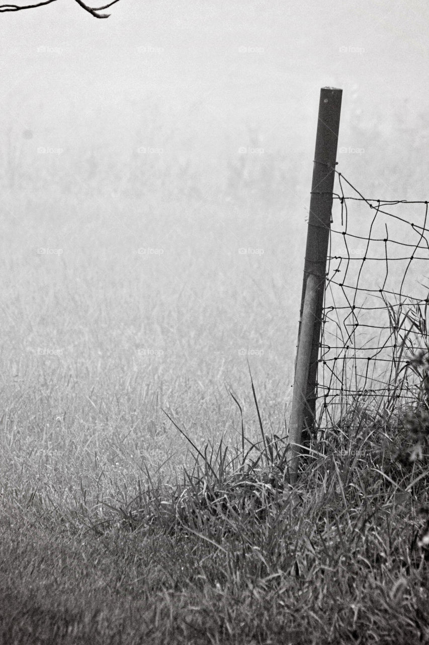 Foggy morning black and white metal fence