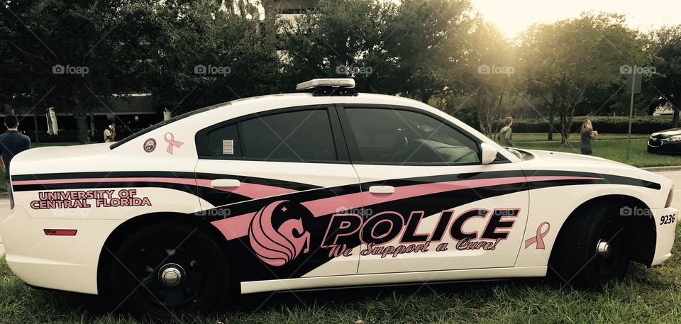 Recognizing with pink. 