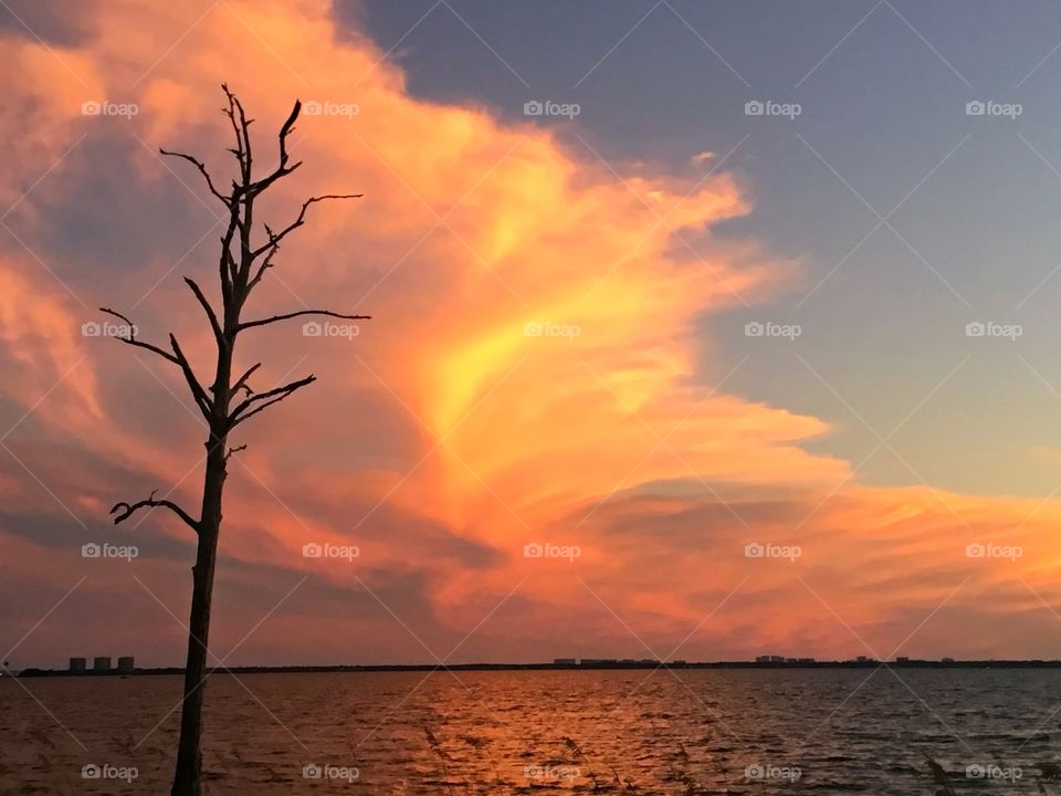 Peach colored clouds and blue and orange sky frame the image of a tree silhouette as the magnificent sun casts its reflection across the waters surface before descending below the the horizon