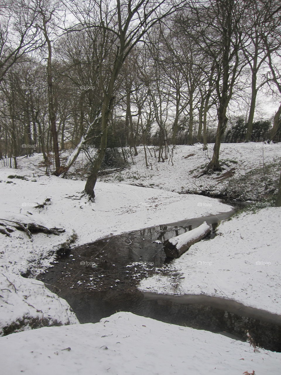 Winter Stream