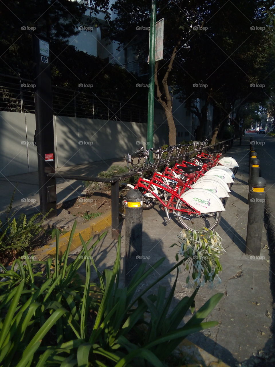 grupo de bicicletas estacionadas en lugar público dentro de la ciudad para uso de todas las personas que lo necesiten.