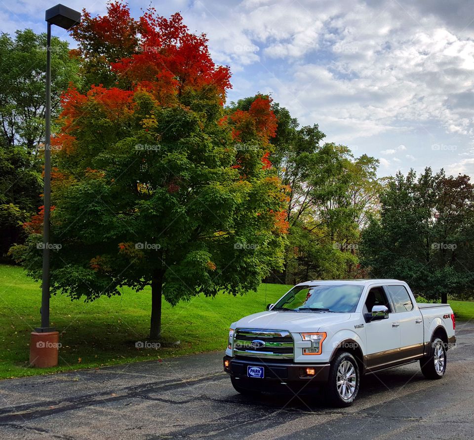 Fall & a truck