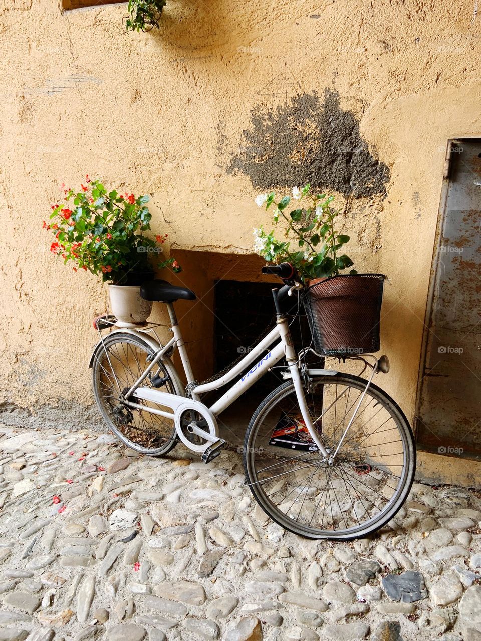 White bycicle with flowers pot 