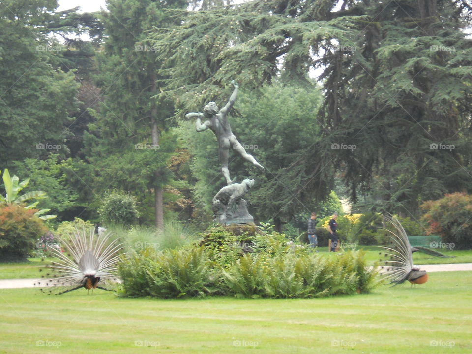 Sculpture in beautiful park