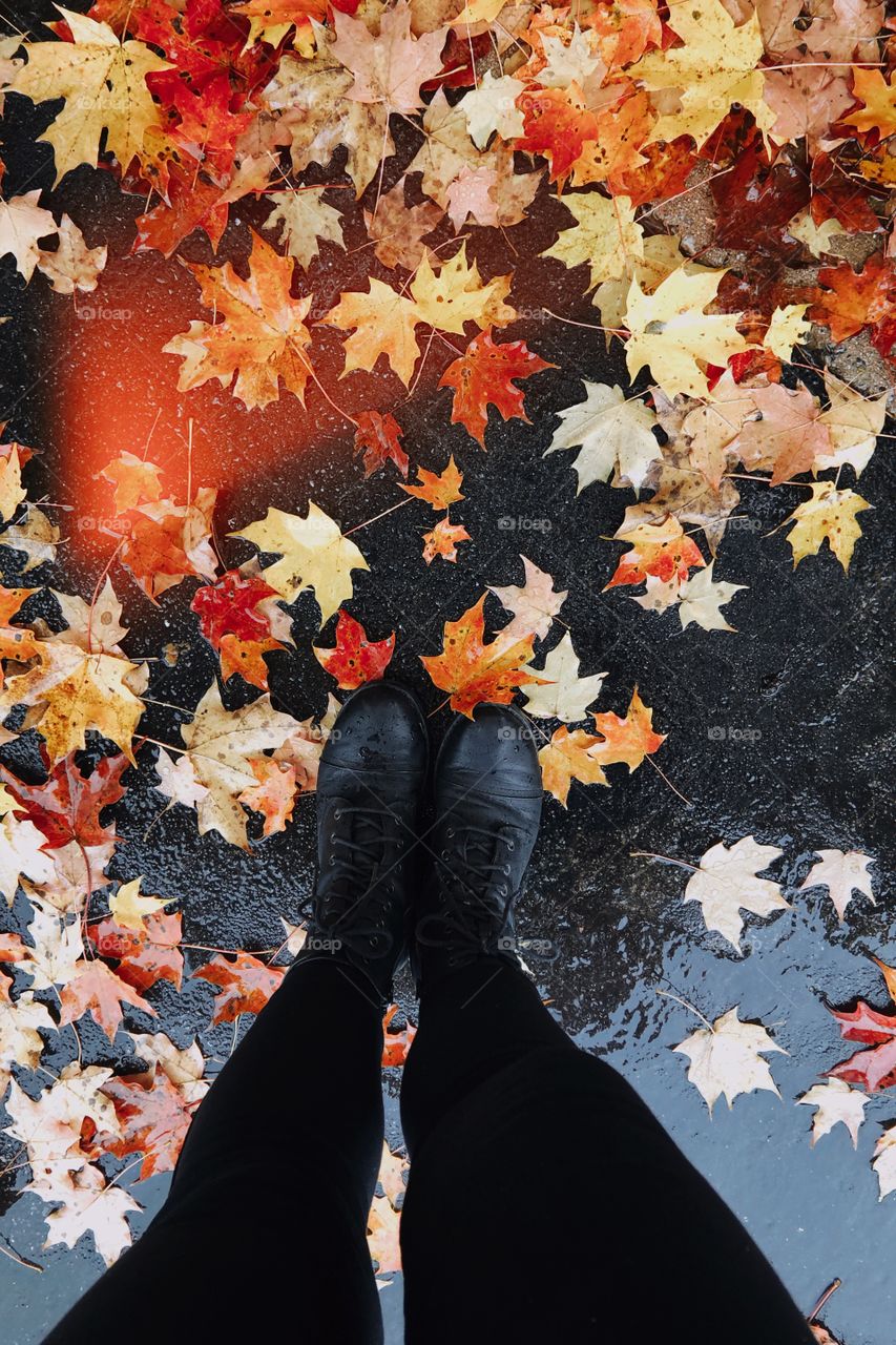 Fall. 