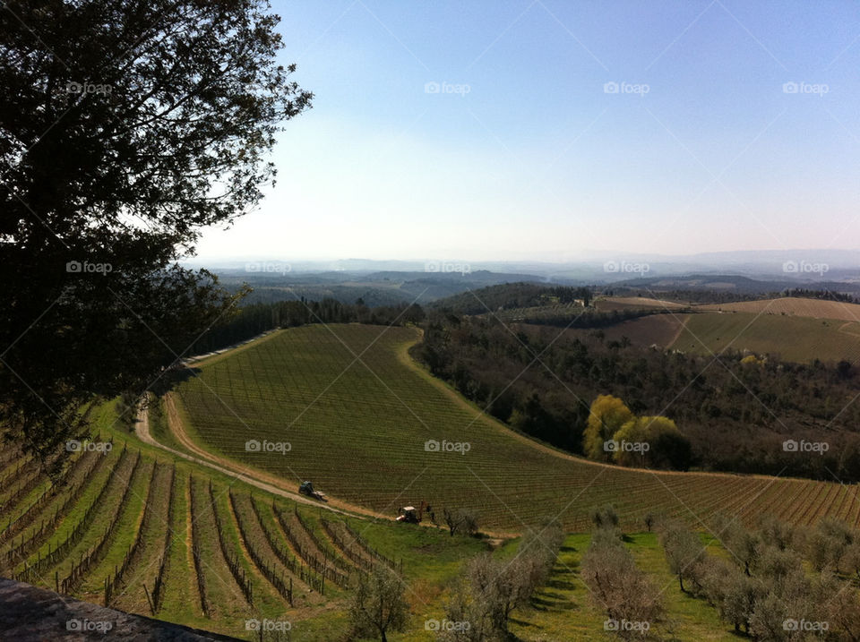 italy wine view scenery by sway