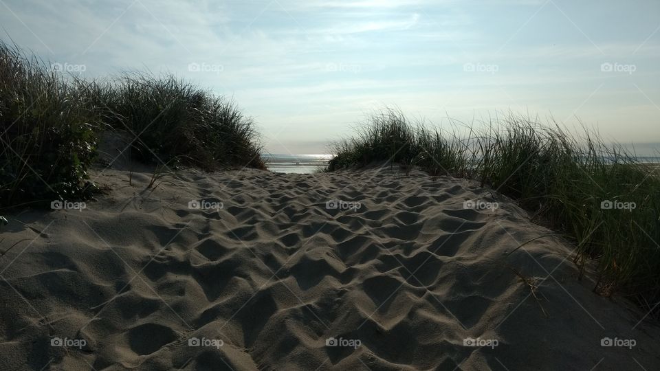 dune on the cape