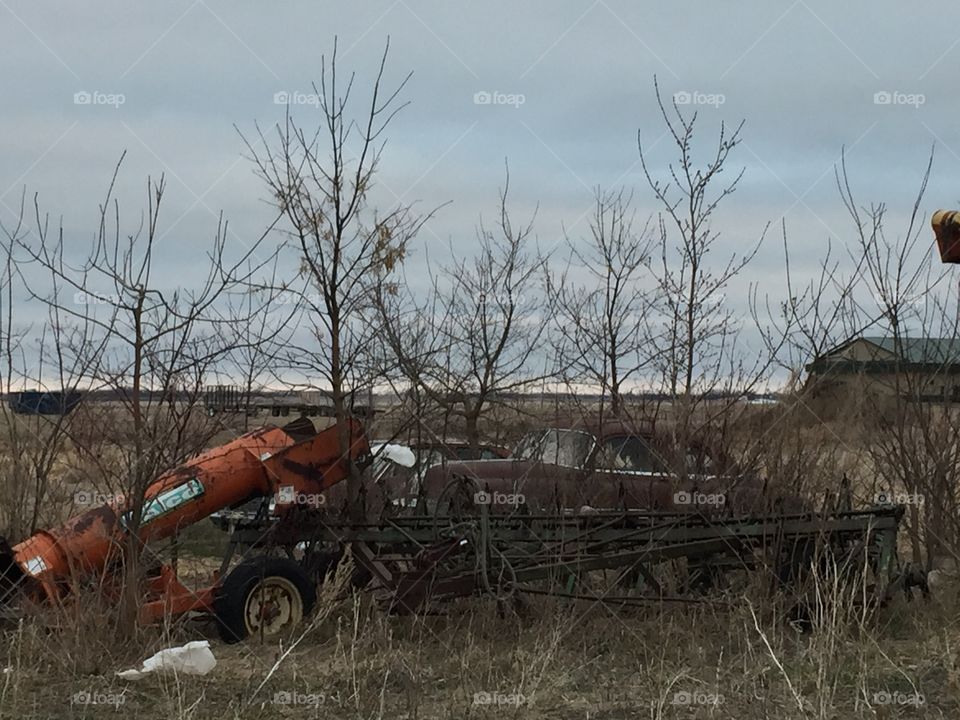 Farm, Agriculture, Landscape, No Person, Outdoors