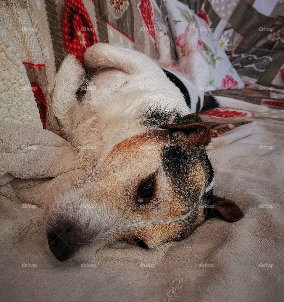 The important thing is staying comfy