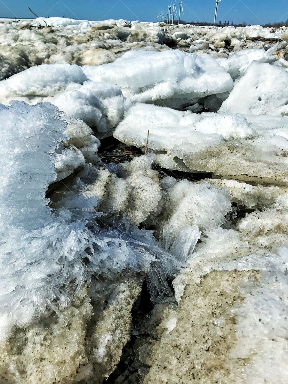 Woodlawn beach Lake Erie