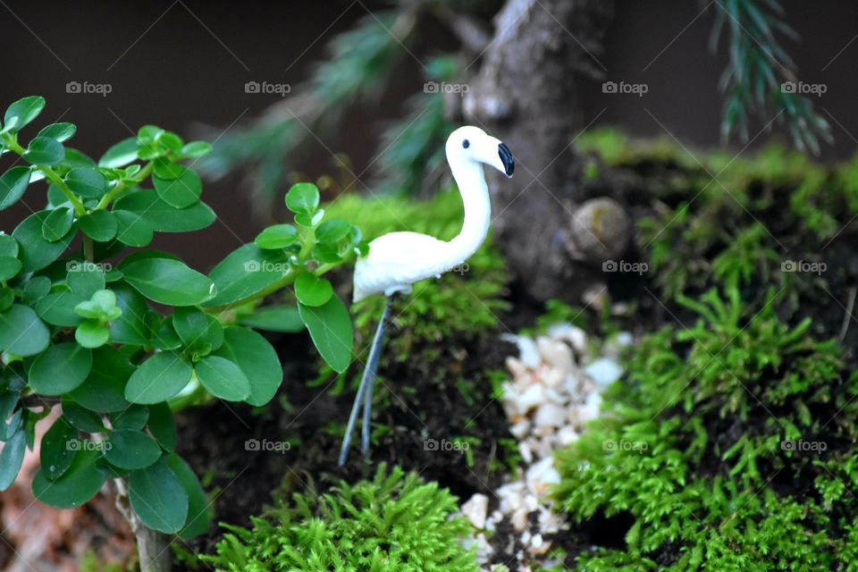 white bird statue in the little garden on the green grass.