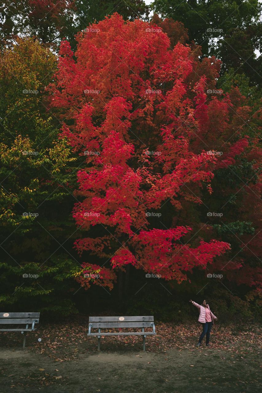 Beautiful fall colors on display