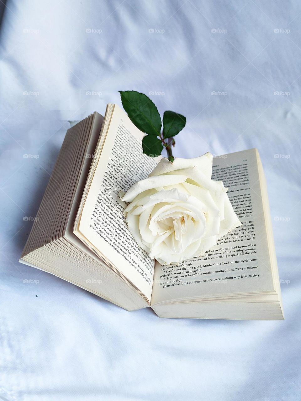 White colour.  There is a white book on a white background.  The book is open and on the pages lies a white rose with a green leaf.