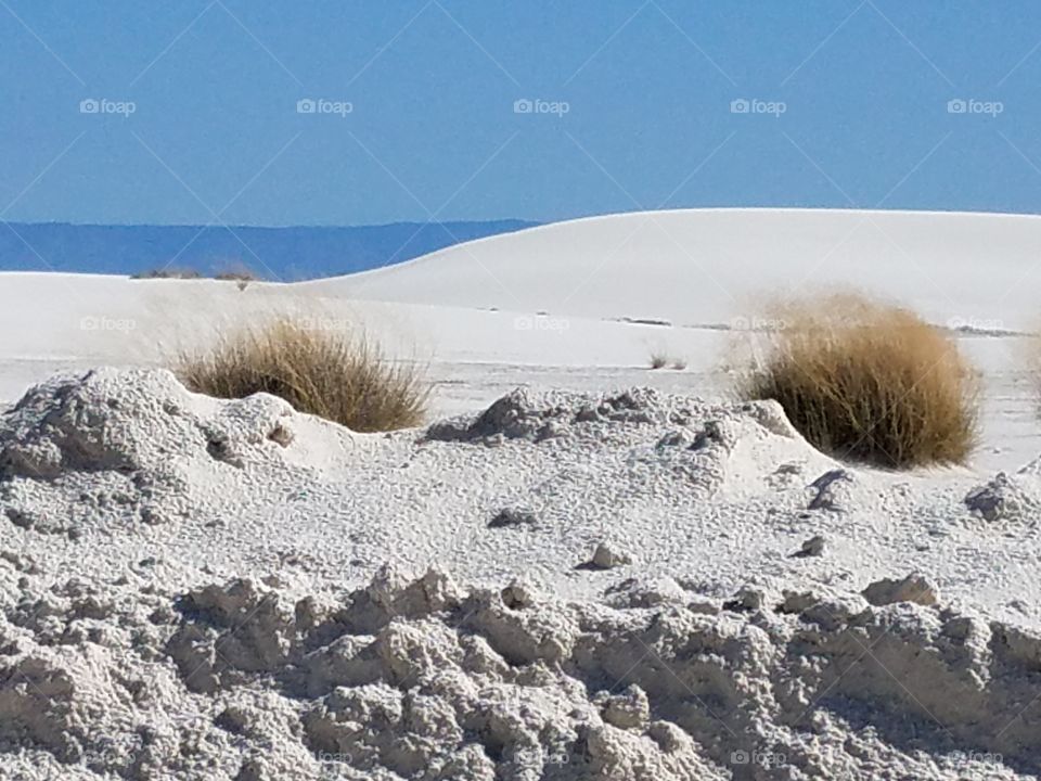 White sands in New Mexico
