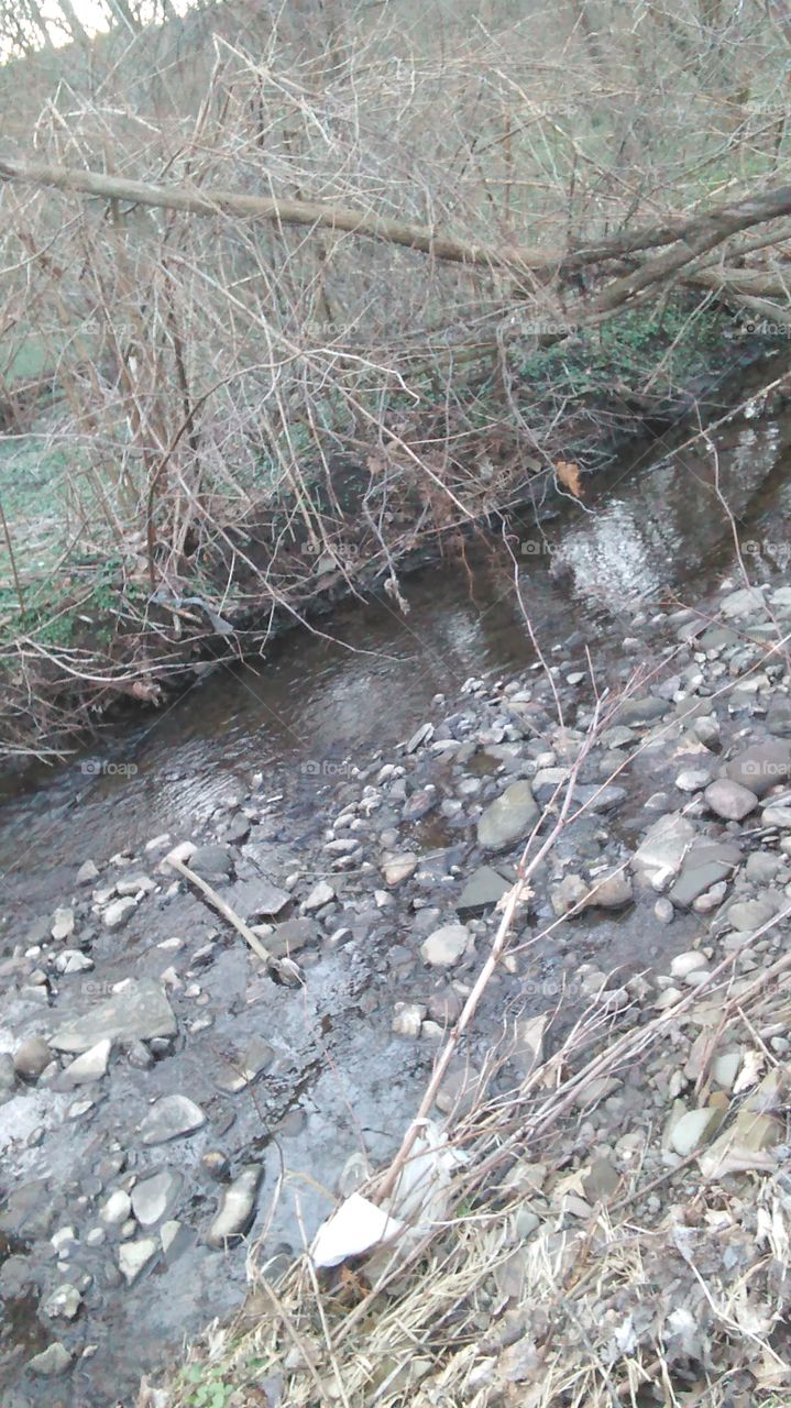 a small creek