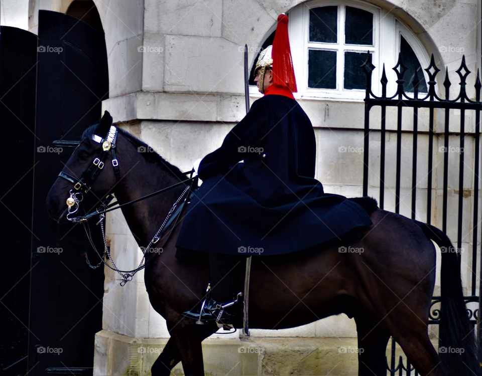 Hcav Blues and Royals, Changing the Horse Guards