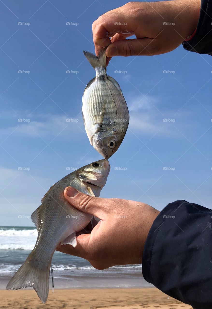 Fishermen fish 