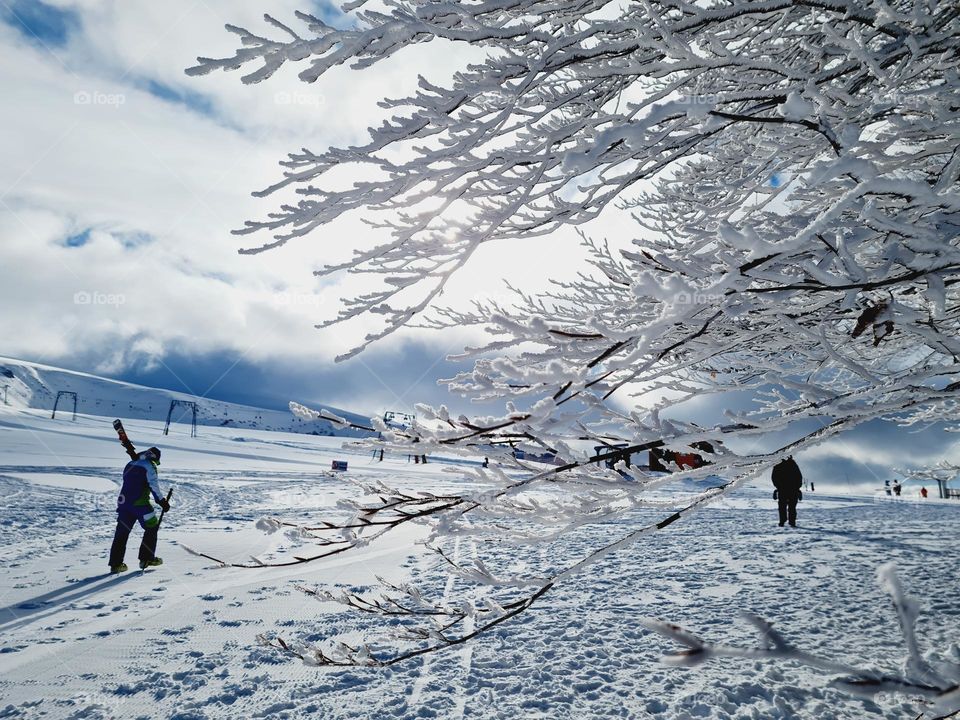 skiers go to the ski slopes