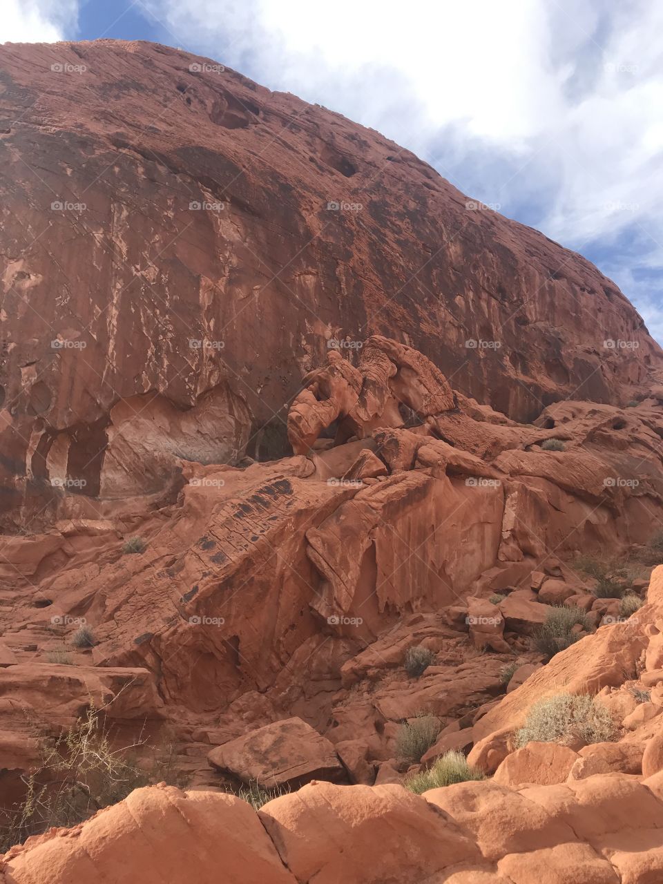 Elephant Rock at Valley of Fire State Park in Overton, Nevada 