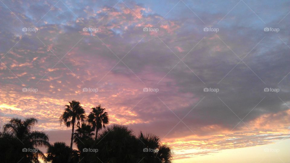 FL  sunset