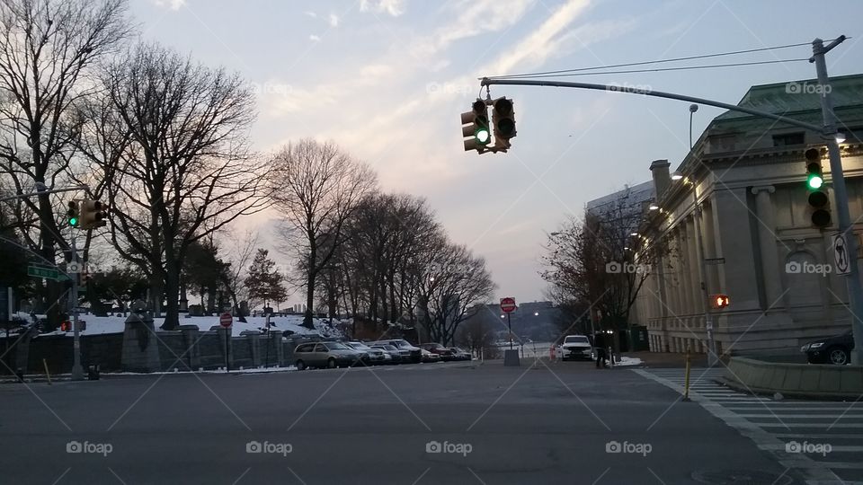 traffic signal trees winter