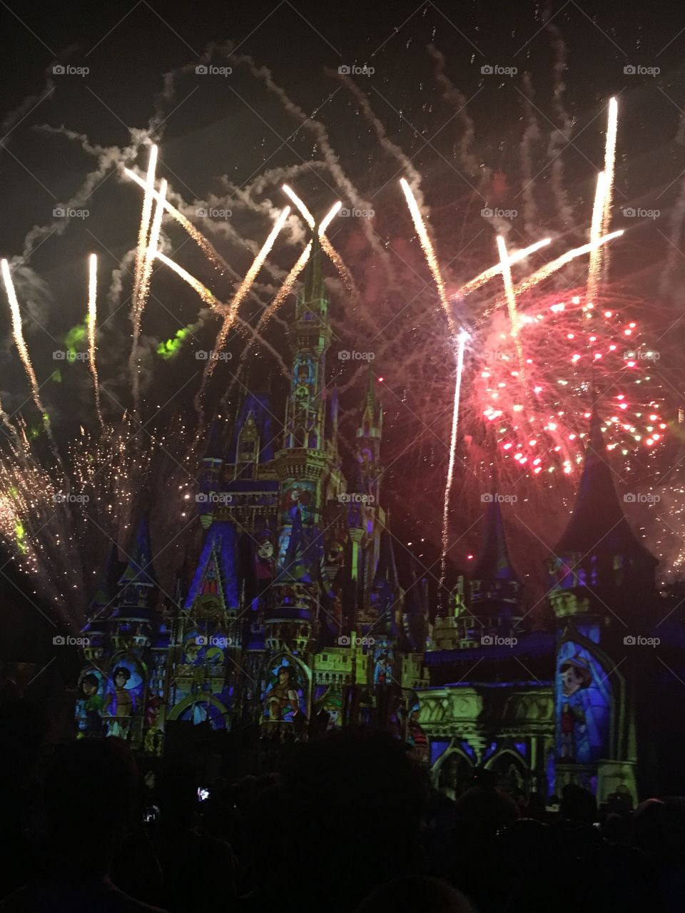 Amazing fireworks show in Disney, Magic Kingdom!