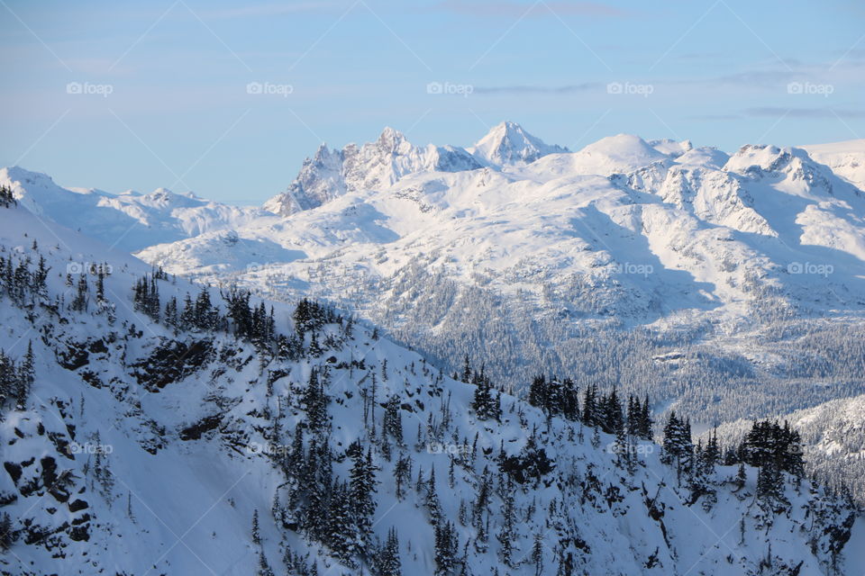 Snow covered mountains, evergreen woods on a clear winter day