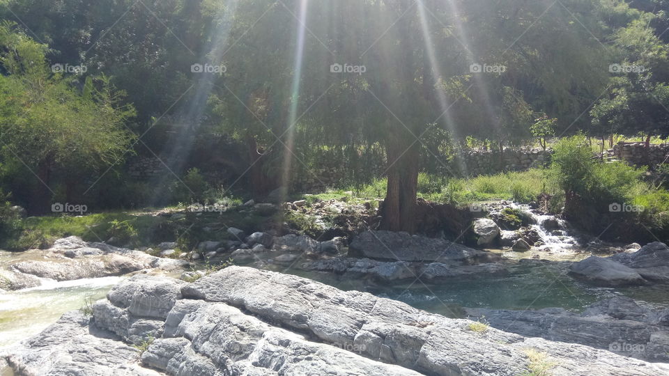 un bello árbol dentro del río San Agustín ahuehuetla Puebla.