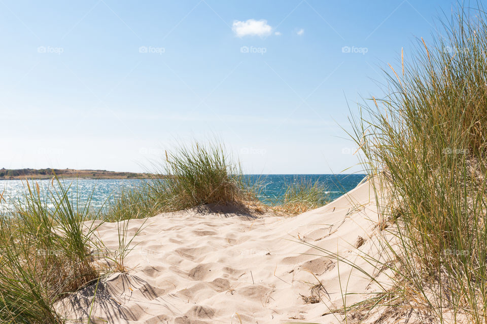 Sand dunes by the ocean on beautiful day with clear blue sky 