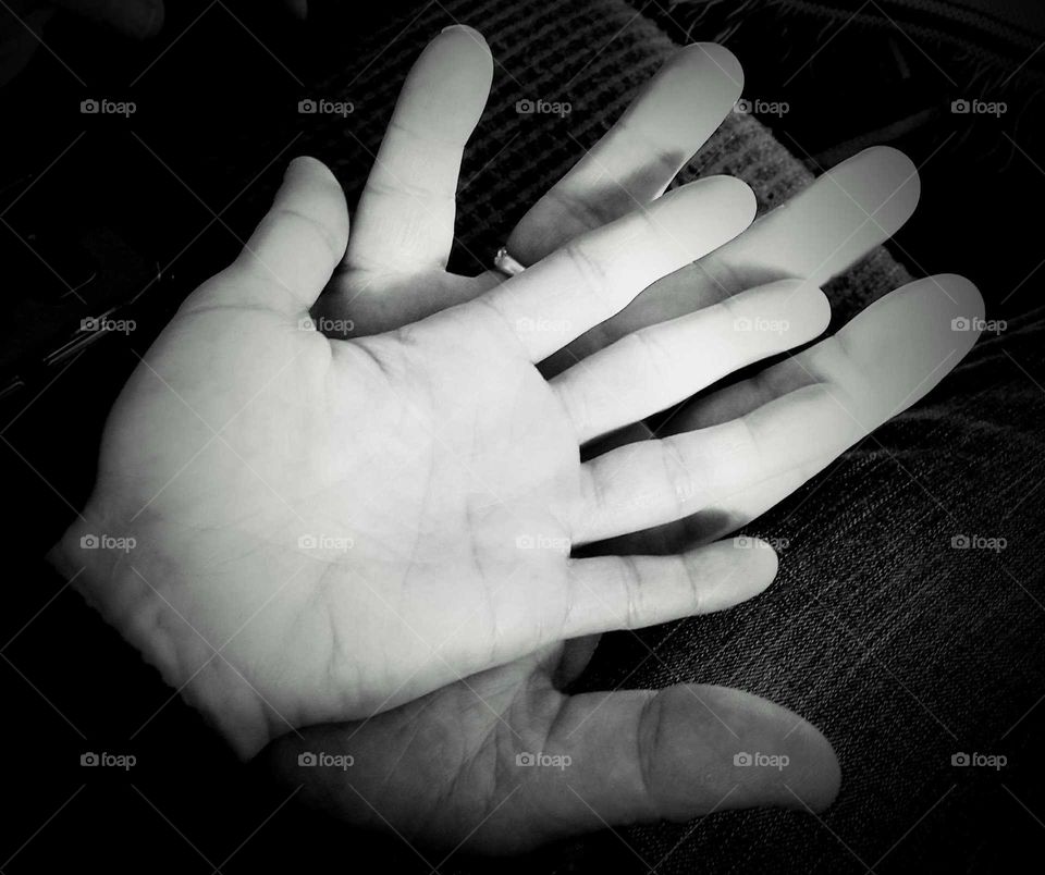 Your heart fits in my hand.