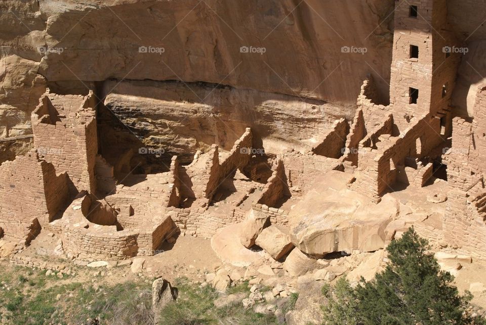 Mesa Verde