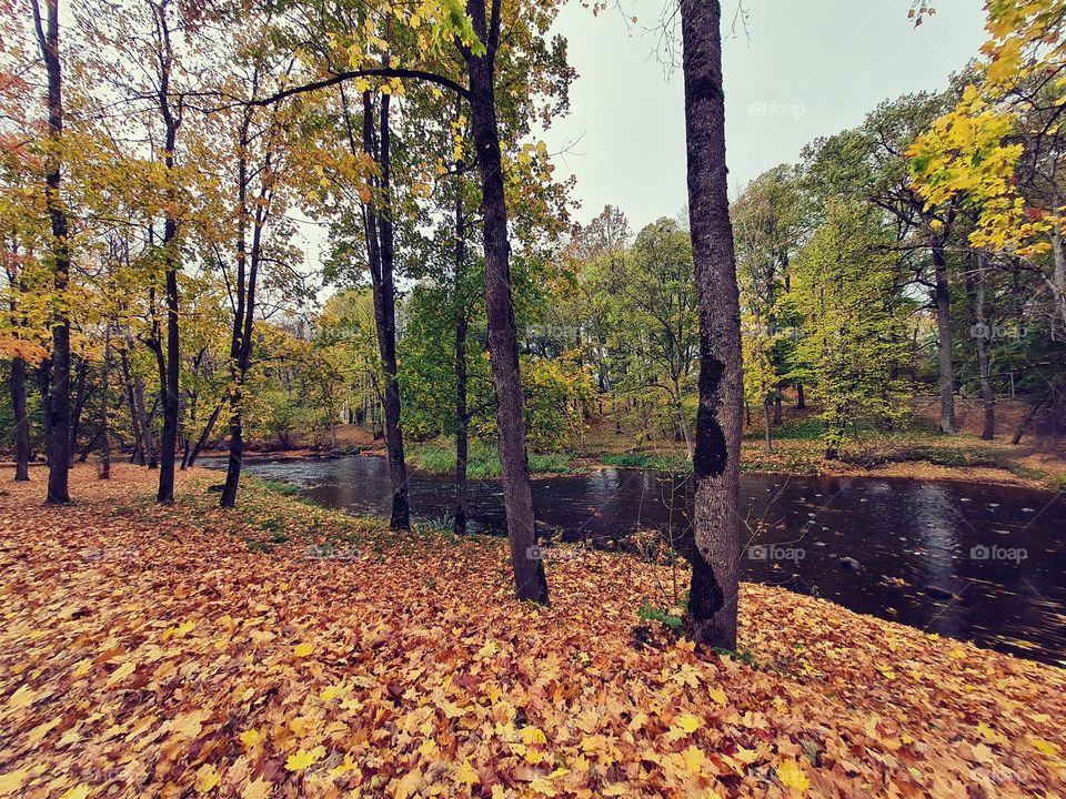 autumn,river,sky