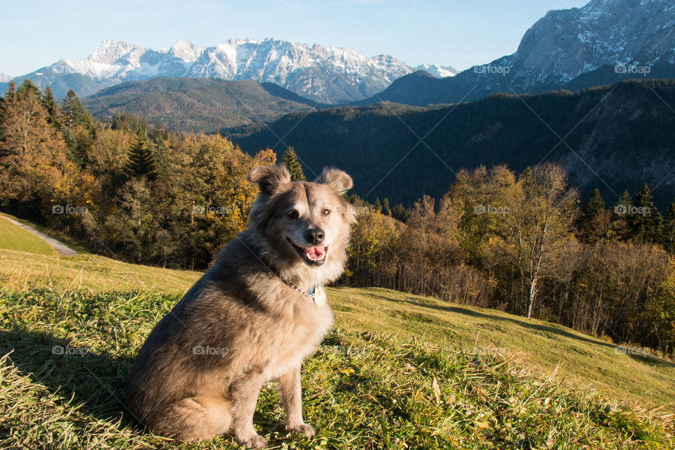 Bavaria 