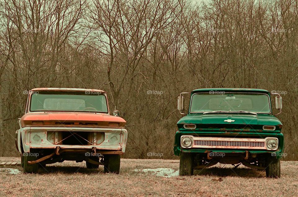 Take the Nostalgic Way Home (Series)