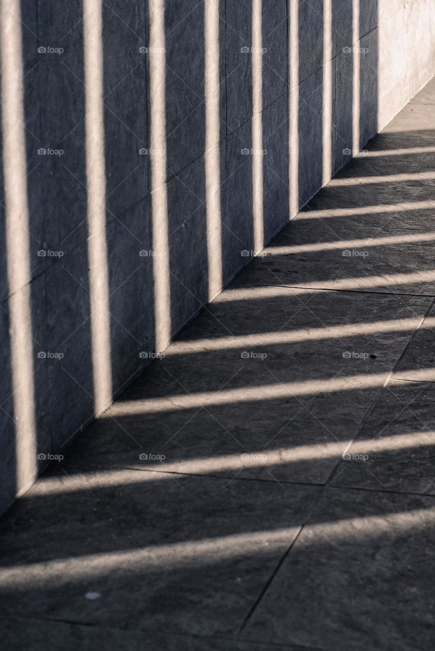 Fence Shadows