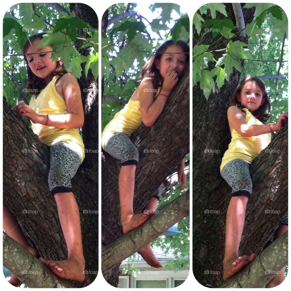 In the tree