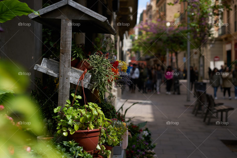 Flowers decoration in the streets