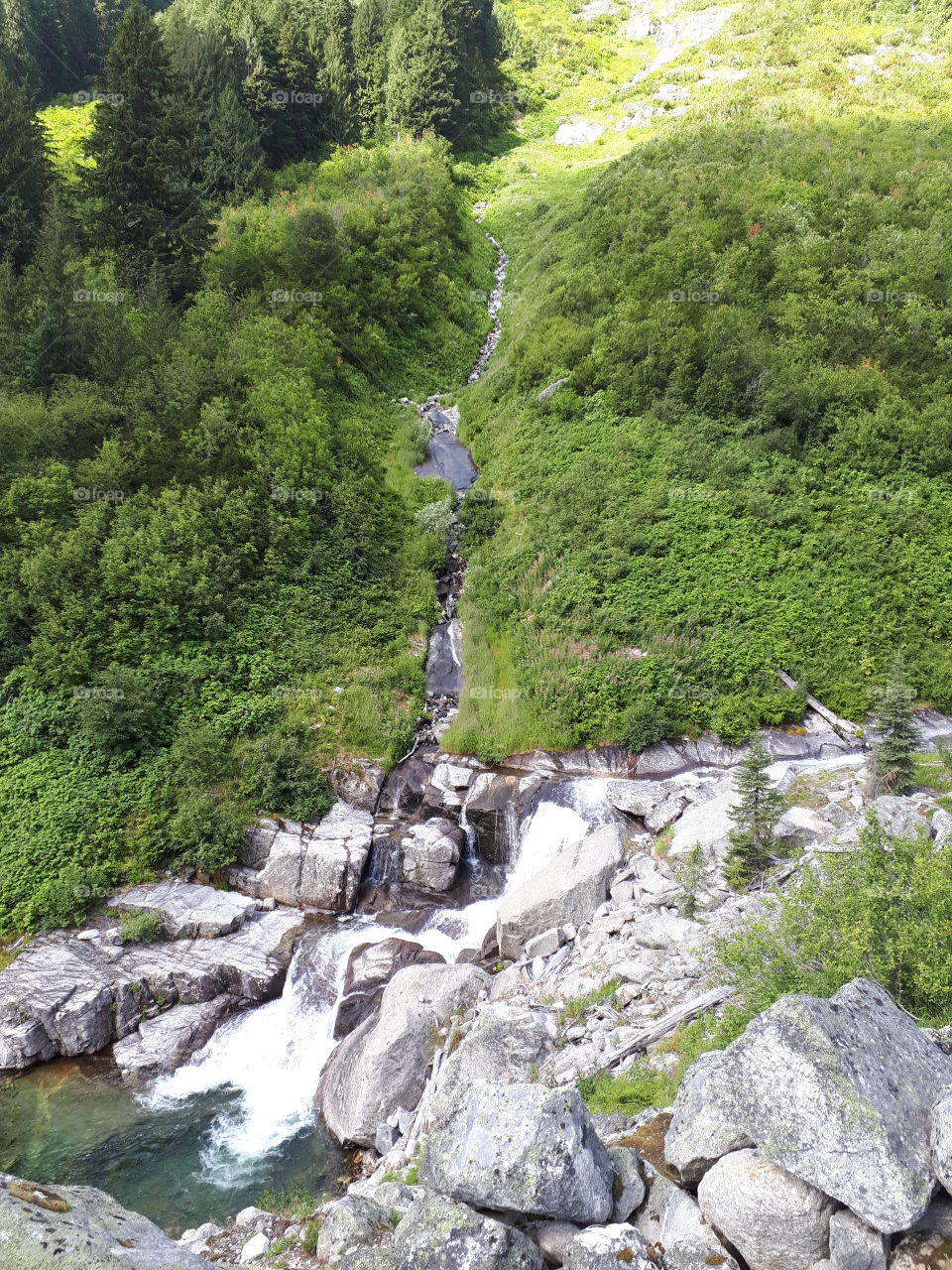 A mountain waterfall between the green trees.