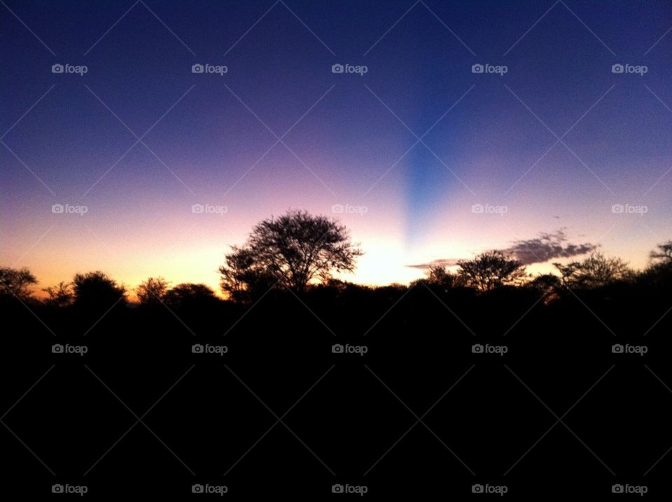 Sunrise on the Serengeti 