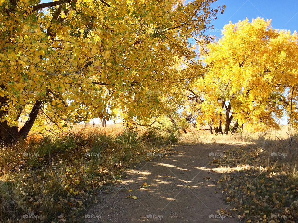 Hiking path at Rocky Mountain Arsenal in fall