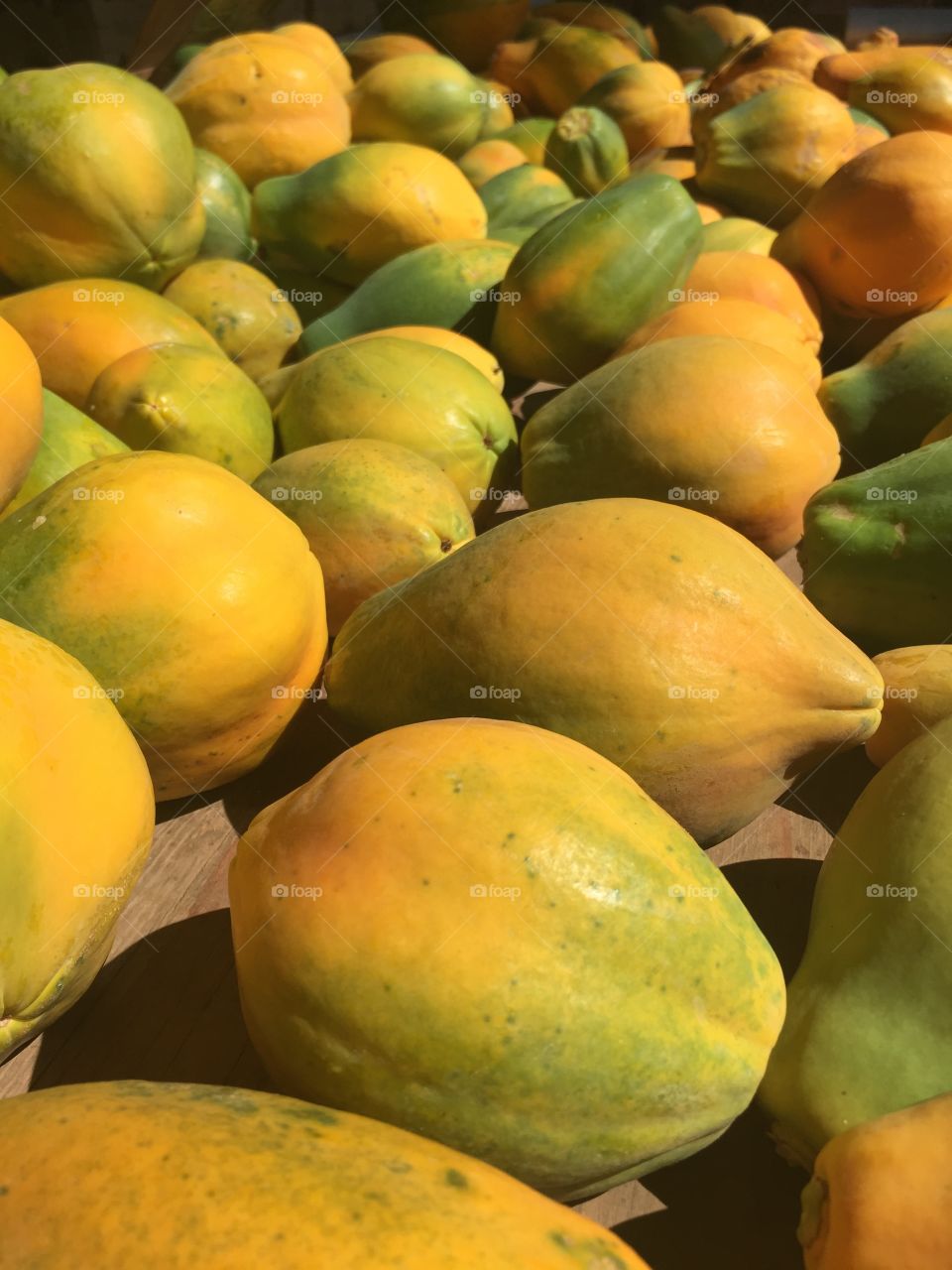 Papaya in abundance