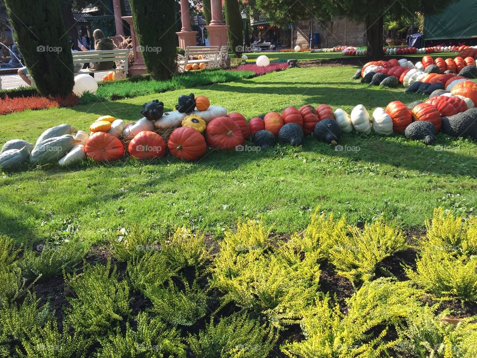 Sunny Autumn day in a park