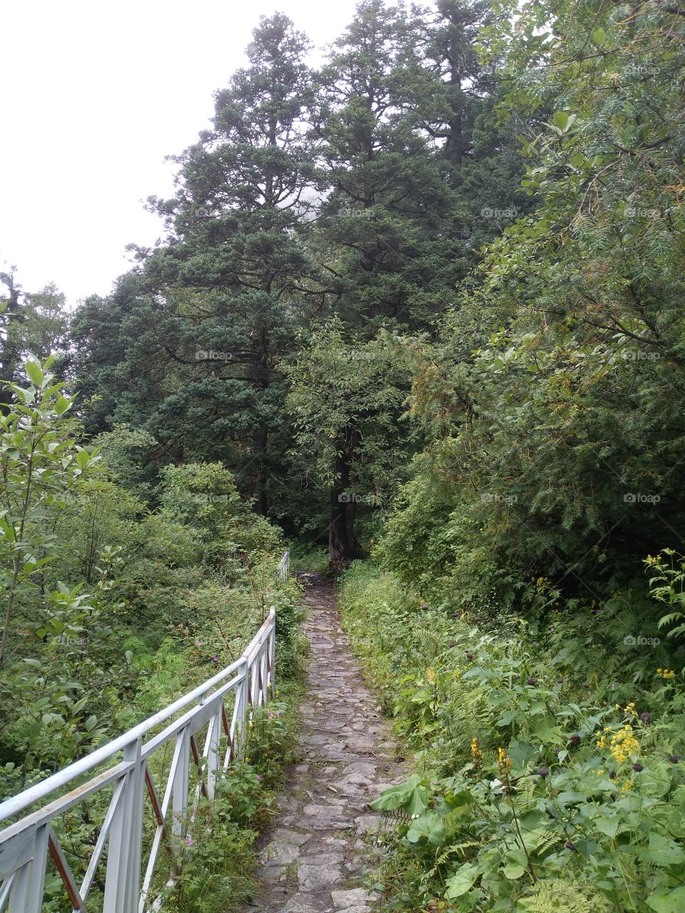 rocky path