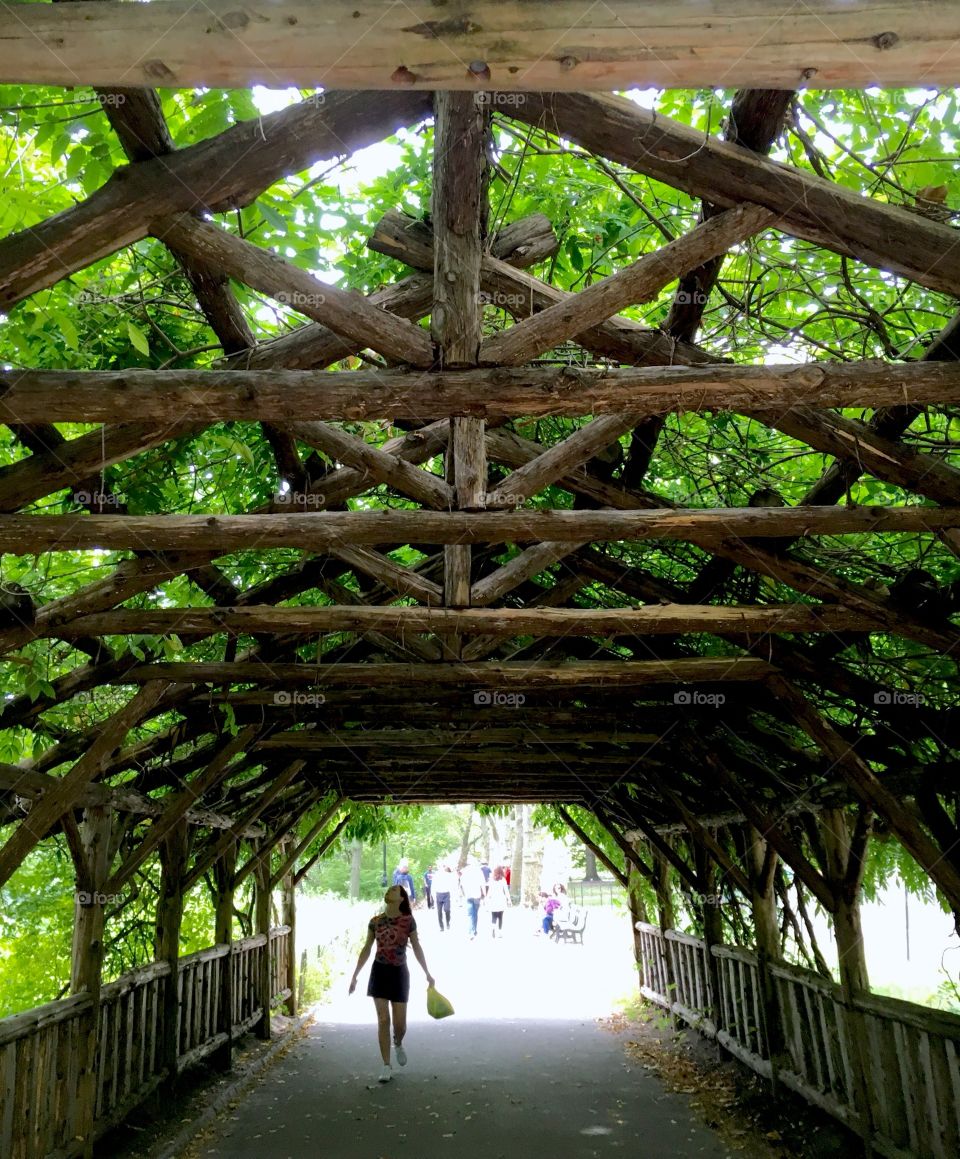 Walking Under a Green Canopy in New York City in 2017