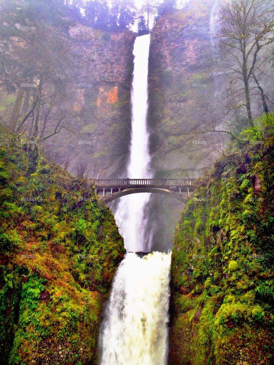 Multnomuh Falls, Oregon