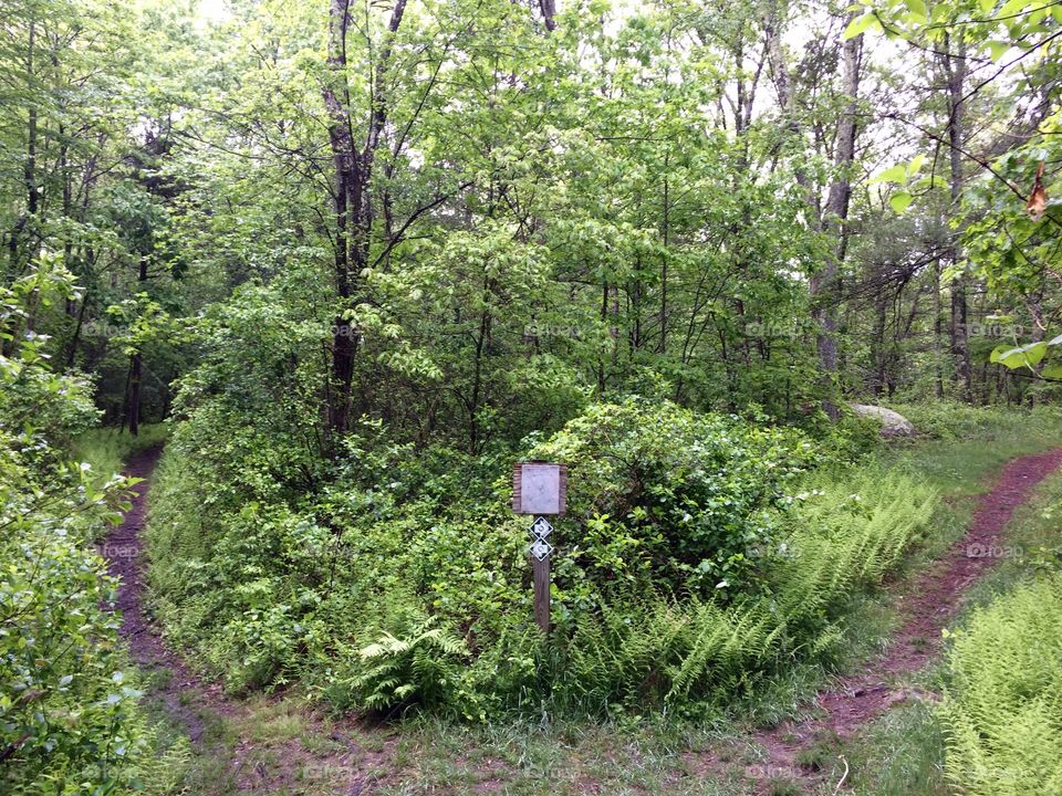 Circle trail 