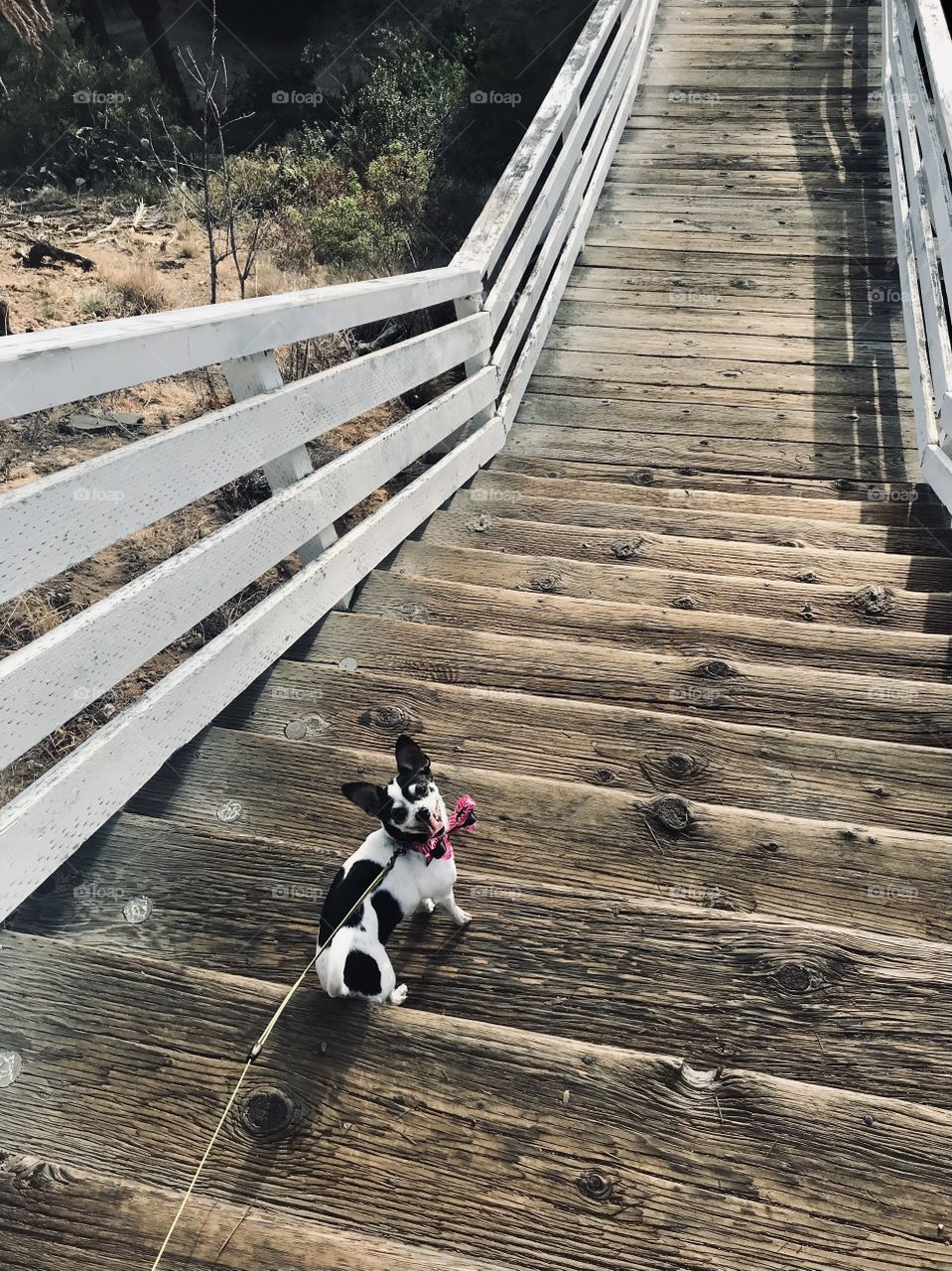 Down the stairs we go 