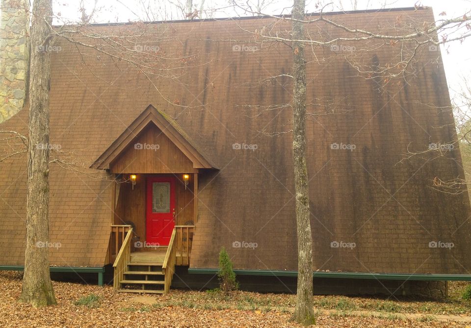 Unusual cottage in the woods